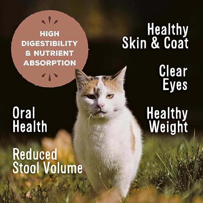 Primal Freeze Dried Raw Cat Food Nuggets Turkey, Complete & Balanced Meal or Topper, Premium, Healthy, Grain Free, High Protein Raw Cat Food with Probiotics (5.5 oz)