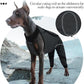 ROZKITCH Dog Surgery Leg Sleeve Rear Legs, Male Female Pet Prevent Licking Wound Elbow Knee Protector, Dog Recovery Suit Cone Collar Alternative Pants Shirt for Wound Heal Wrap Grey S
