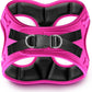 Comfort fit Step-in Dog & Puppy Harness - Comfortable All Weather Dog Vest Harness: Adjustable, Soft Padded, Easy to Put-on for Small, Medium-Sized Dogs.