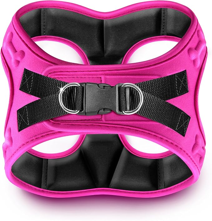 Comfort fit Step-in Dog & Puppy Harness - Comfortable All Weather Dog Vest Harness: Adjustable, Soft Padded, Easy to Put-on for Small, Medium-Sized Dogs.