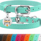 BRONZEDOG Leather Cat Collar with Removable Bells Non Breakaway Kitten QR Tag for Girl Boy (7" - 9" for Cats, Turquoise & Silver)