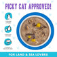Weruva B.F.F. OMG - Best Feline Friend Oh My Gravy!, Love Munchkin! with Chicken & Pumpkin in Gravy Cat Food, 5.5oz Can (Pack of 8)