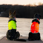 Custom Reflective Dog Vest Personalized High Visibility Reflective Jacket for Your Puppy Hunting Safety Gear with Elastic Strap & Clasp, Comfortable, Perfect for Day and Night Walks!