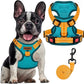 MIDOG No-Pull Dog Harness | Adjustable & Reflective Pet Harness Leash Set for Small Medium Large Dogs Walking, Training| No Choke, Front Clip, Soft Padded Vest with Easy Control Handle - Blue, M