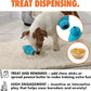 Max Fusion with Nike Grind, Arlee Cannon Treat Dispensing Dog Toy, Durable Dog Treat Toy, L
