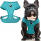 BINGPET Small Dog Harness - Breathable Mesh Puppy Cat Harnesses - No Pull Adjustable Dog Harness Dog Vest Harness for Small and Medium Dogs