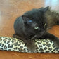 Extra Large 18" Catnip Kicker Toys/Kitty Kick Sticks/Cat-Nip Kick Sticks (Leopard) (Kickers Filled with 1 oz Premium Canadian Catnip)