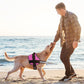 Dogline Reflective No-Pull Adjustable Vest with Handle for Walking, Training, Service Breathable No - Choke Harness for Small, Medium or Large Dogs Room for Patches Girth 15 to 18 in Pink