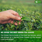 FreshDrinkUS, Premium 120 Green Tea Bags, 100% Natural & Pure from Green Tea. Green Herbal Tea. Made with Natural Material Tea Bags. No Sugar, No Gluten, Vegan