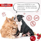 Liquid Multivitamin for Dogs – Cat Multivitamins for Indoor Cats – 10-in-1 Liquid Dog Vitamins B Complex, C, D3 – Digestion, Urination, Hip & Joint, Skin & Coat – Cranberry Flavor – 2 Oz