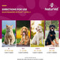 NaturVet – Glucosamine DS Plus - Level 2 Moderate Care – Supports Healthy Hip & Joint Function – Enhanced with Glucosamine, MSM & Chondroitin – for Dogs & Cats – 240 Soft Chews