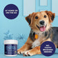 NOVEHA Pets Dental Finger Wipes for Dogs & Cats | Freshens Breath, Reduces Plaque | Healthier Gums | Clean Teeth No Toothbrush | Vet Recommended Effective Natural Oral Care (50 pcs, Mint)