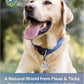Natural Flea & Tick Repellent Collar Tag for Dogs & Cats – BioPower Pet Shield – Safe for Pets When Used as Directed – Lasts 1 Full Year - Regular Tag (3Pack)