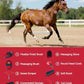 11PCS Horse Grooming Kit Curry Comb Sweat Scraper Horse Bathing Supplies Grooming Tools with Storage Bag Shadowberry