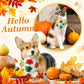 Abbylike 200 Pcs Fall Dog Bandanas Bulk Maple Leaves Bandanas for Dog Pet Triangle Kerchief Bibs Scarf for Fall Autumn Thanksgiving Costume Photo Props Accessories Pet Shops Adoption Events, 25 Styles