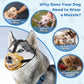Dog Muzzle for Large Dogs, Breathable Basket Muzzles for Small, Medium and X-Large Aggressive Dog, Allows Panting Drinking, Suitable for Grooming Trimming Training (2, Luminous Orange)