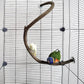 Parrot Perch Stand Bird Cage Stand Pole Natural Wild Grape Stick Grinding Paw Cage Accessories for Parakeet Cockatiels Budgies Conure Lovebirds Platform (S-Shaped)