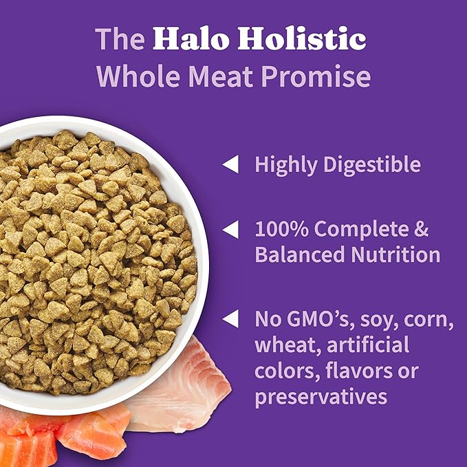 Halo Holistic Kitten Food, Wild Caught Salmon & Whitefish Recipe, Grain Free Dry Cat Food, Complete Digestive Health, 10 lb Bag