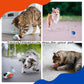 1pc Interactive Automatic Remote Control Cat Mice Car Toy and 1pc Smart Electric Moving Speedy Cat Ball Toy with Feather Tail, Suitable for Dogs, Keep Busy, Stimulating, Rechargeable (orange)