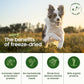 smallbatch Freeze Dried Dog Treats, Pork Liver Treats for Dogs & Cats, High Protein, Single Ingredient Dog Treat for Training or Food Topper, Natural, Humanely Sourced Meat, Made in The USA, 3 oz