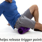 MICRODRY Deluxe Fitness Foam Back Roller for Muscle Relief, Roller for Yoga, Stretching, Deep Tissue Firm Massage & Trigger Point Release, Exercise Workout at Home or Gym, 13x5.3, Purple