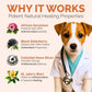 Hot Spot & Itch Relief Skin Cream for Dogs & Cats | Fast & Lasting Relief | Treats the Source | Natural Ingredients & Colloidal Silver | Vet-Recommended | Safe & Non-Toxic | Made in USA (2oz)