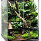 30 Gallon Tall Reptile Glass Tank Terrarium 18"x18"x24" Large Habitat Enclosure for Gecko,Lizard,Chameleon,Frog,Snake,No Install Needed and Come with Tank Background