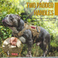OneTigris No Pull Dog Harness for Small Dog, Mesh Design Breathable Military Dog Molle Vests with Handles, Service Dog Vest Harness for Walking Hiking Training