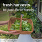 Farmstand Starter Kit + 24 Seedling Credit | Medium Hydroponic Growing System Kit | Self-Watering Outdoor Vertical Garden Planter Tower | 4ft 10in | Made in USA
