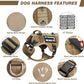 WINSEE Service Dog in Training Mesh Harness with 10 Pet Patches, Soft Air Mesh Breathable Tactical Dog Molle Vest, Reflective Military Pet Vest for Walking Hiking for Large Dogs