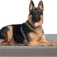 GOHOO Jumbo Dog Bed for Large Dogs, Orthopedic Memory Foam with Cooling Gel & Waterproof Lining
