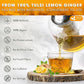FreshDrinkUS, Premium 35 Tulsi Lemon Ginger Tea Bags, 100% Natural & Pure from Tulsi Holy Basil Leaves, Lemon and Ginger. Made with Natural Material Tea Bags. No Sugar, No Caffeine, Vegan.