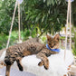 Cat Window Perch for Large Cats - Hammock Bed for Heavy Indoor Cats - Solid Wood Seat, 5 Strong Suction Cups, Soft Cushion - Rustic Shelf for Pets Inside