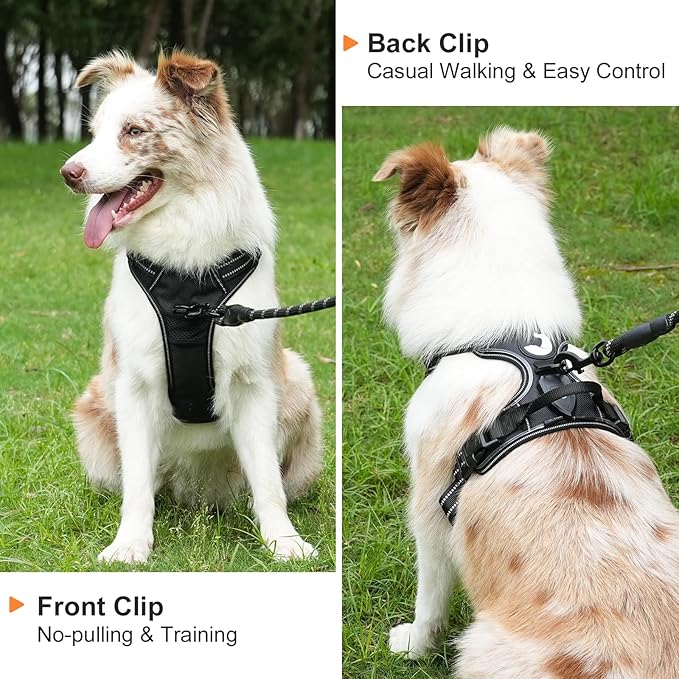 Taglory Light Up Dog Harness, Rechargeable No Pull Dog Vest with 3 Lightning Modes, Reflective Dog Harness with 2 Leash Clips & 4 Adjustable Slide Strips for Medium Dogs, Black-Blue, M