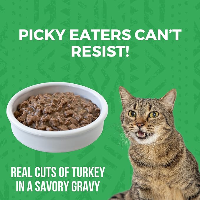 KOHA Minimal Ingredient Turkey Stew for Cats, High Protein Limited Ingredient Wet Cat Food, 5.5oz Cans (Case of 24)