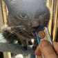 Kitty Licks Chicken and Tuna Varieties (28 Tubes) Chicken and Tuna Varieties 4 Tubes X 7 Flavors (28 Tubes)