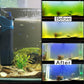 COOSPIDER Fish Tank Filter Sun JUP-02 Aquarium Green Clean Submersible Machine 132gph for 10-40 Gallon Small Fish Tank Internal Submersible Pump for Turtle Tank, Air Supply & Oxygen Enhancement