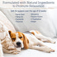 Rx Vitamins NutriCalm - Calming Care for Dogs with Valerian Root, Tryptophan, & Ashwagandha - Aids in Separation Anxiety Relief for Dogs and Stress Relief - Road Trip Essentials & Relaxant - 50ct