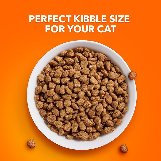 IAMS Proactive Health Adult Urinary Tract Healthy Dry Cat Food with Chicken, 3.5 lb. Bag