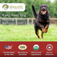 Wholistic Pet Organics Joint Supplement: Joint Mobility with Green Lipped Mussel Daily Joint Health Supplements for Dogs - Dog Glucosamine Powder with MSM, Probiotics, Vitamins, Minerals - 4 Lb