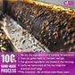 FreshDrinkUS, Premium 75 Milk Thistle Tea Bags, 100% Natural & Pure from Milk Thistle Seeds. Milk Thistle Seed Herbal Tea. Made with Natural Material Tea Bags. No Sugar, No Caffeine, No Gluten, Vegan.