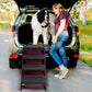 BRIKY Wooden Dog Stairs/Steps - Foldable 4 Steps Dog Steps for High Bed Couch Cars, Non-Slip Pet Stairs for Small Large Medium Dogs and Cats, No Assembly Required