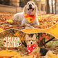 Preboun 200 Pcs Fall Pumpkin Dog Bandanas Bulk Maple Leaves Bandanas for Dogs Pets Triangle Kerchief Bibs Scarf for Thanksgiving Costume Photo Props Accessories Pet Shops Adoption Events, 25 Styles