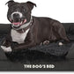 The Dog’s Bed, Medium Black Faux Fur 30x23.5, Memory Foam, Pain Relief: Arthritis, Hip & Elbow Dysplasia, Post Surgery, Lameness, Supportive, Calming, Washable Cover, Veterinary Approved