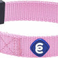 Blueberry Pet Essentials Small Dog Collar in Fuchsia Pink | Adjustable & Eco-Friendly Durable Nylon Strap | Classic Collar for Small Dogs, Boy & Girl Pets