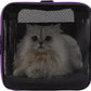 petisfam Soft Pet Carrier for Large and Medium Cats, 2 Kitties, Small Dogs. Easy to Get Cat in, Great for Cats That Don't Like Carriers (Black)