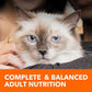 IAMS Proactive Health Indoor Weight Control & Hairball Care Adult Dry Cat Food, Salmon Recipe, 7 lb. Bag