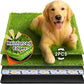 Hompet Dog Grass Pad with Tray Large, 35"x22.5", 2 Reusable Artificial Turf for Dogs Potty, Waterproof Non-Slip Washable Pee Pads, Quickly Absorbency Portable Dog Litter Box for Indoor/Outdoor Use