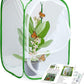 RESTCLOUD Insect and Butterfly Habitat Cage Terrarium Pop-up 23.6 Inches Tall