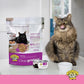 Dr. Elsey's cleanprotein Original Pork Recipe Wet Cat Food, (Pack of 24), 5.3oz Cans